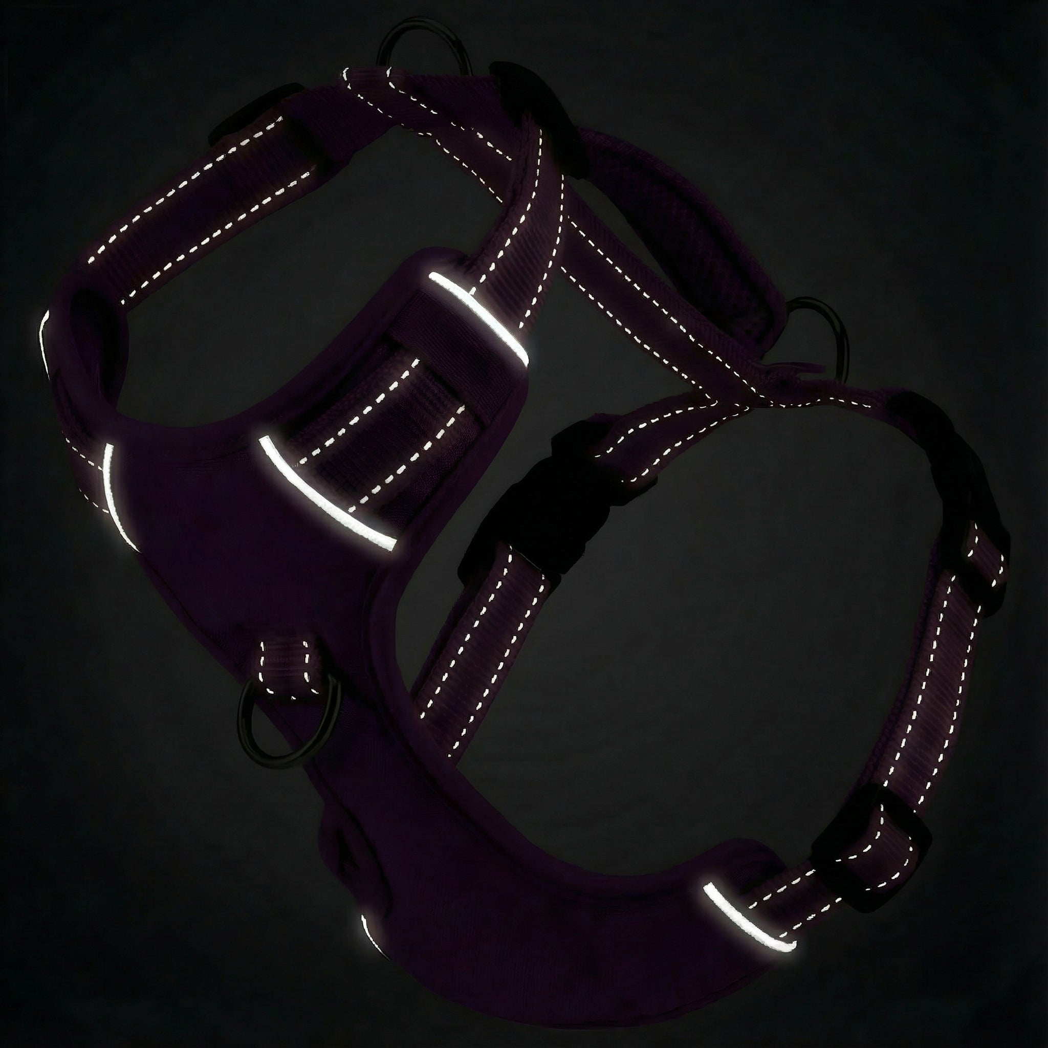 Chesapeake Bay Dog Harness
