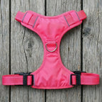 Chesapeake Bay Dog Harness
