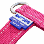 Chesapeake Bay Dog Harness