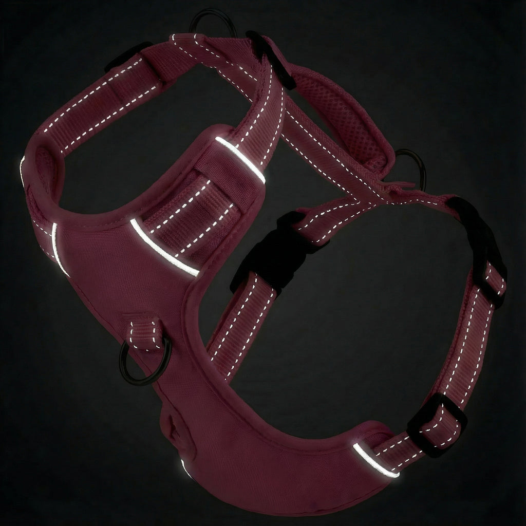 Chesapeake Bay Dog Harness