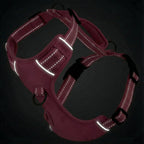Chesapeake Bay Dog Harness