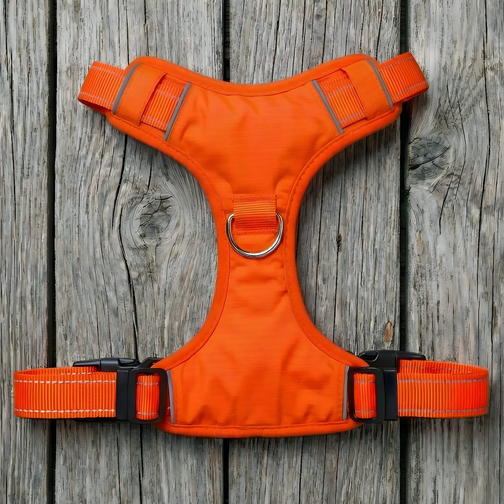 Chesapeake Bay Dog Harness