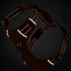 Chesapeake Bay Dog Harness