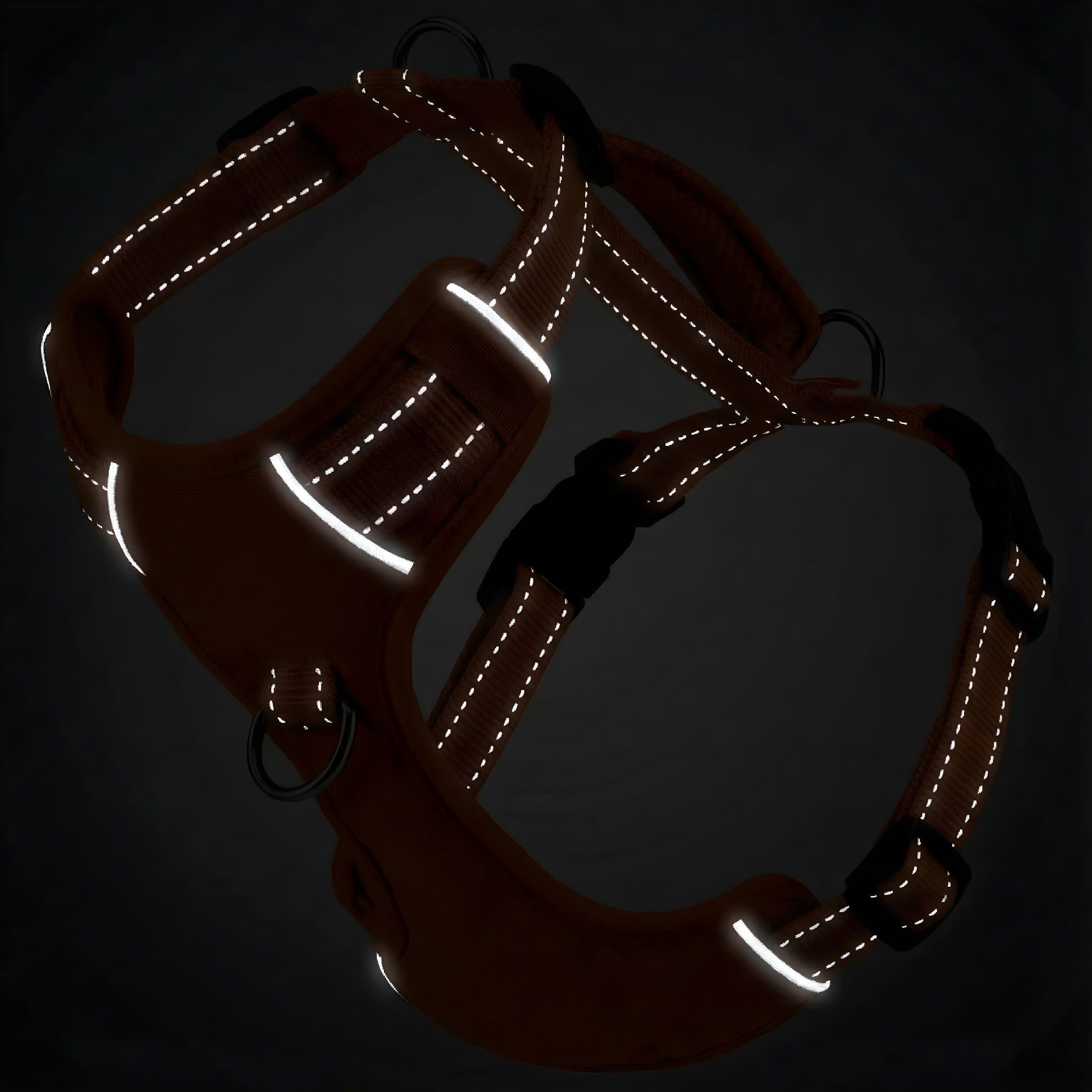 Chesapeake Bay Dog Harness