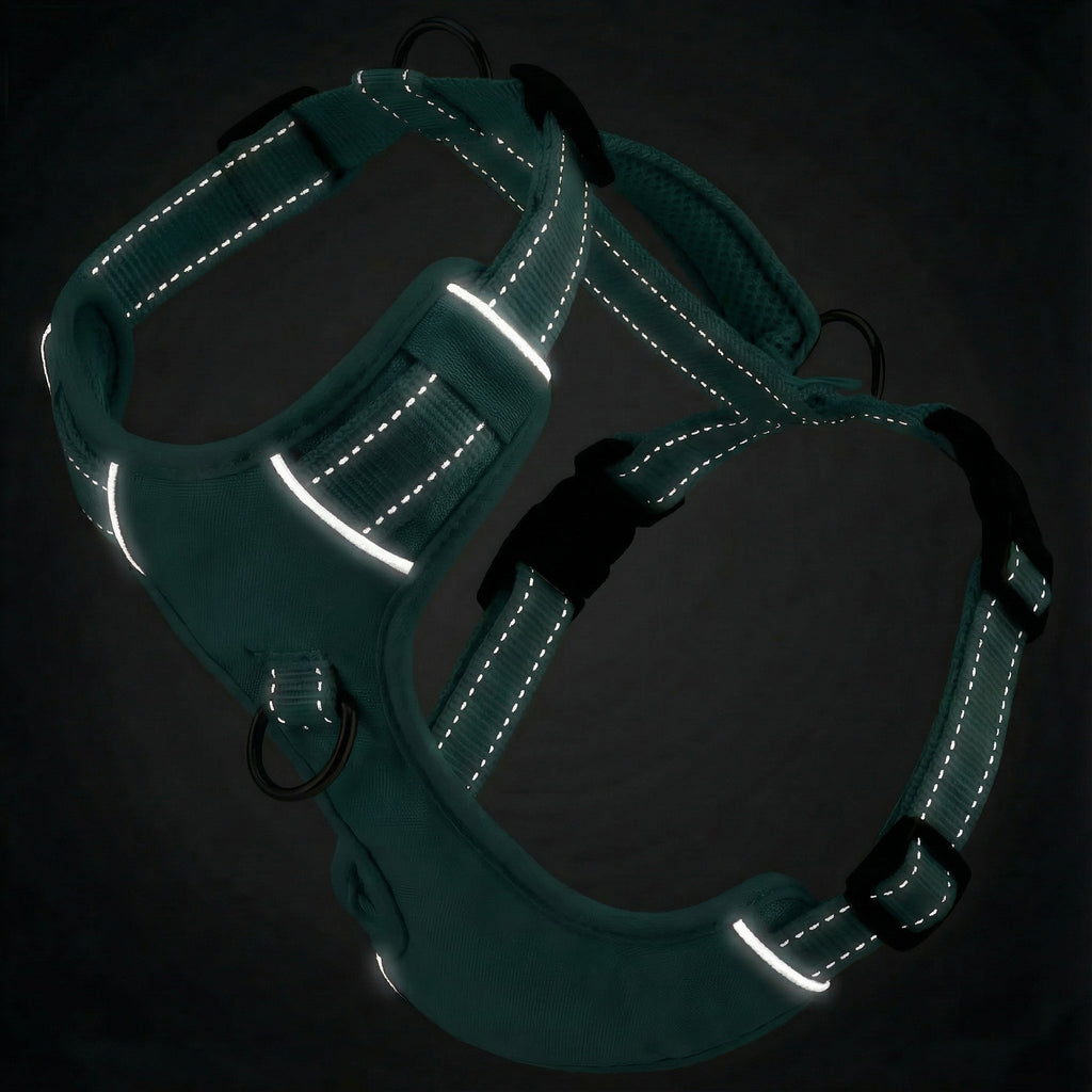 Chesapeake Bay Dog Harness