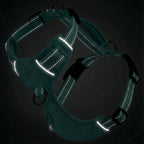 Chesapeake Bay Dog Harness