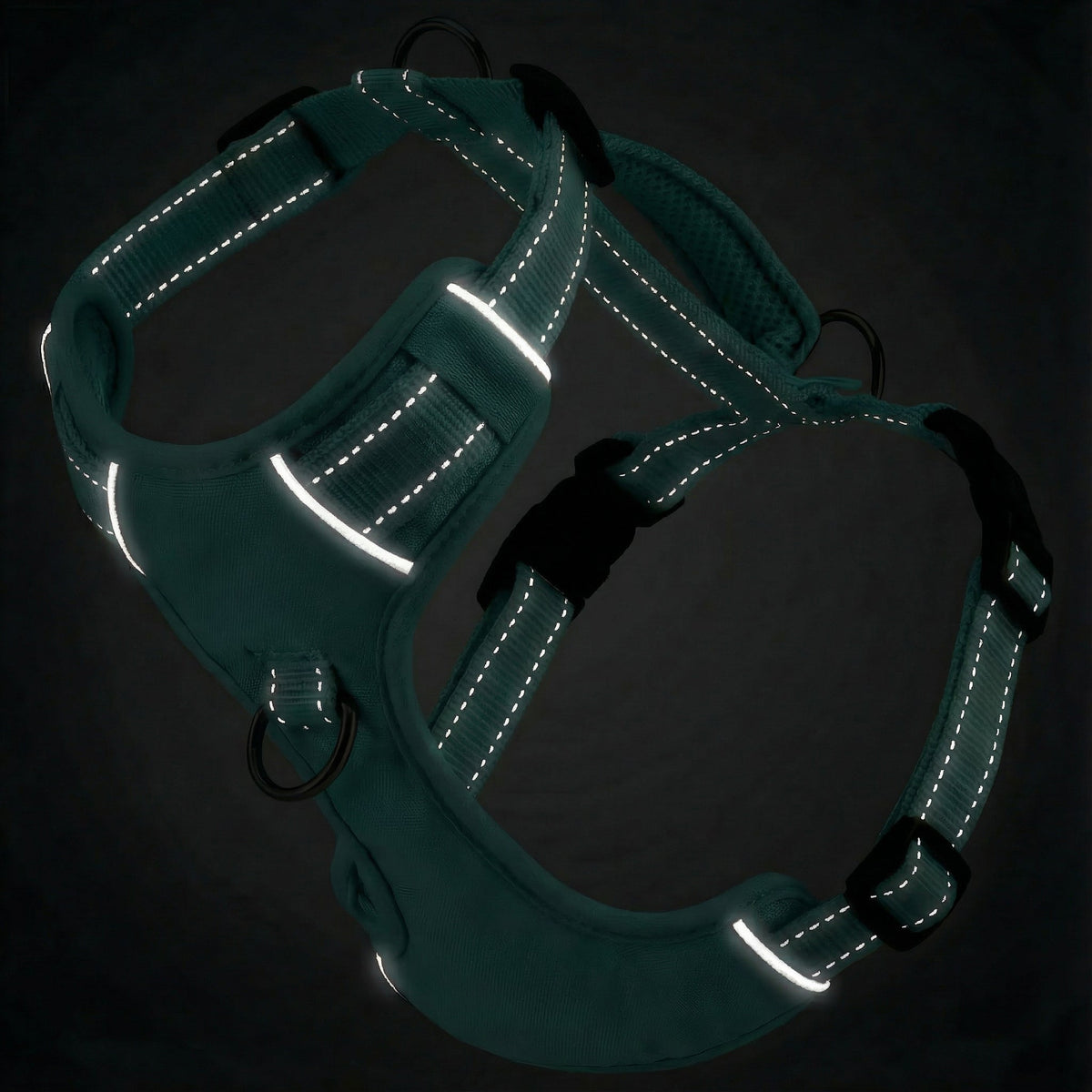 Chesapeake Bay Dog Harness