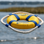 Dog Fetch Ring product image 2