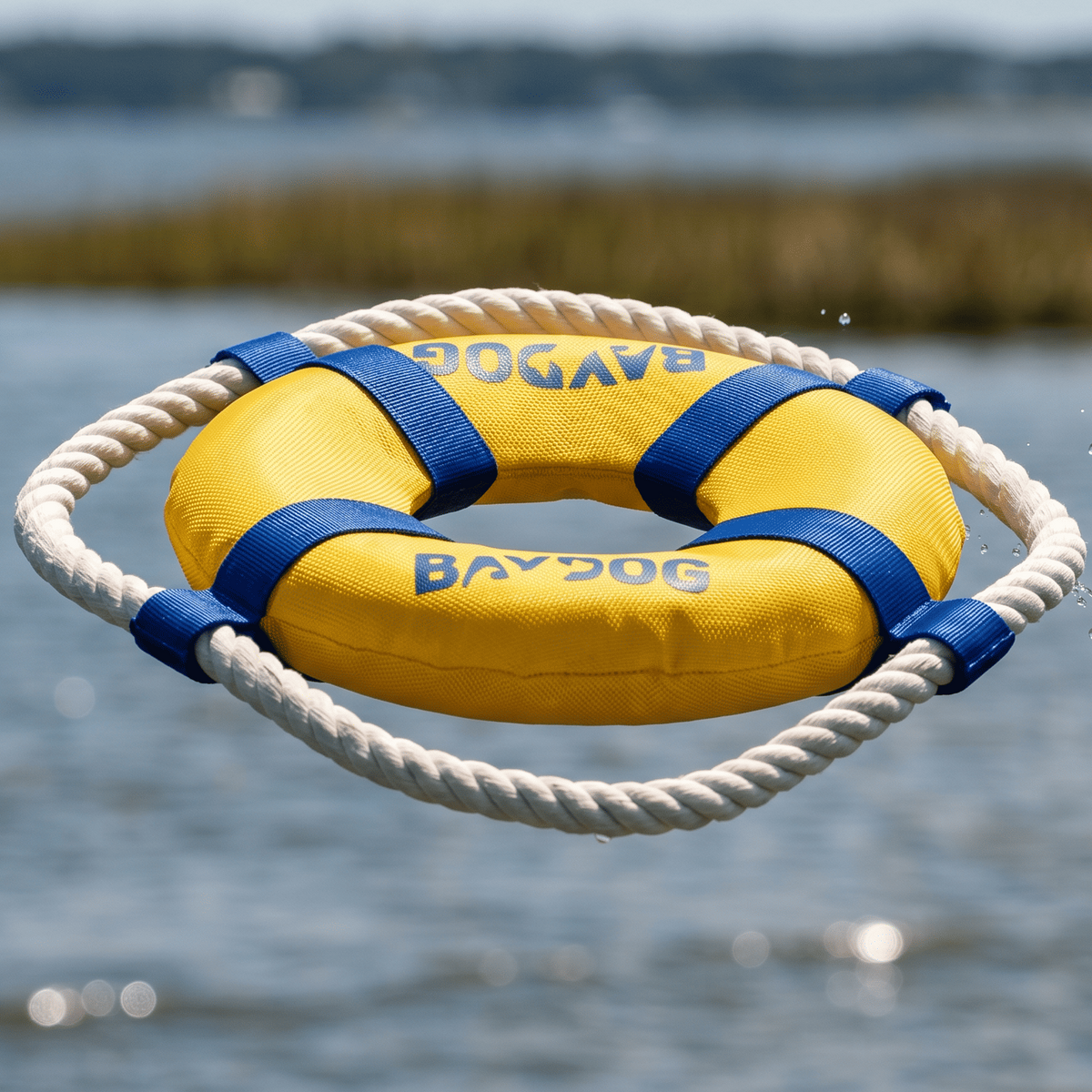 Dog Fetch Ring product image 2