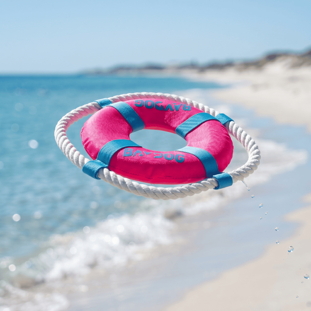 Dog Fetch Ring product image 8