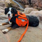 Dog Backpack product image 23