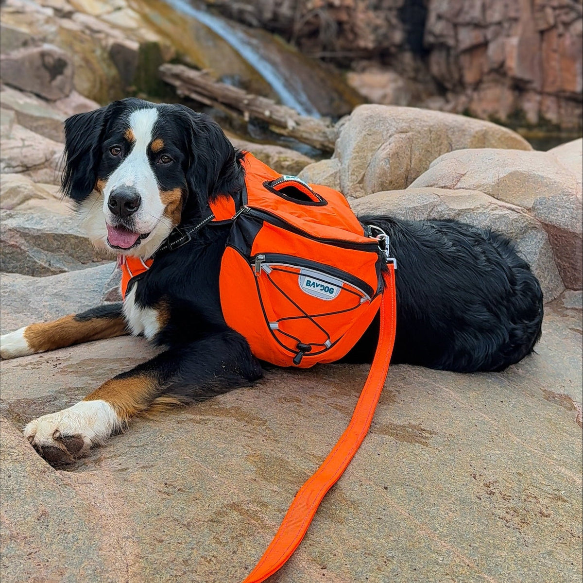 Dog Backpack product image 23