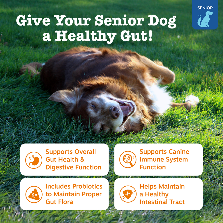 Dog Probiotic Soft Chew product image 2