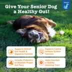 Dog Probiotic Soft Chew product image 2