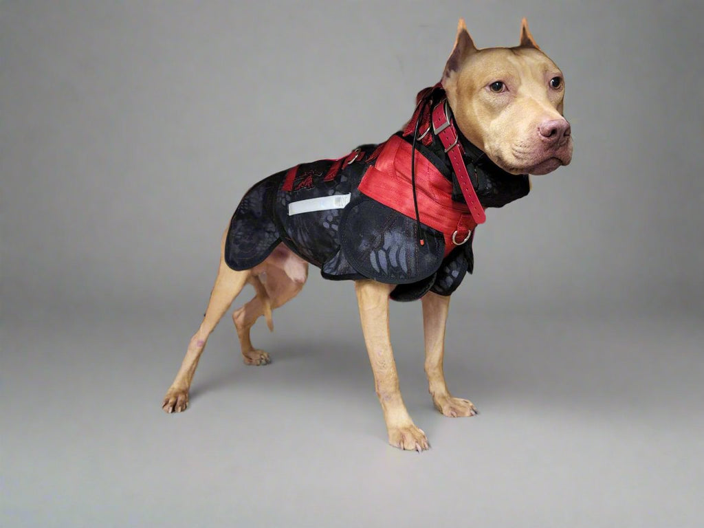 Elite Catch Vest PRO- Attached Collar Extreme Protection - Southern Cross Cut Gear