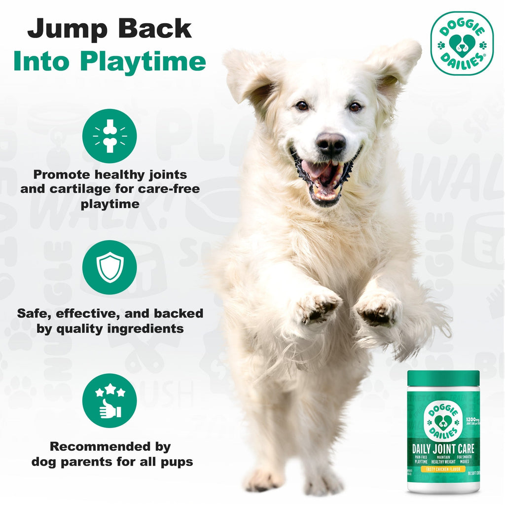 Glucosamine Joint Support Soft Chews for Dogs product image 4