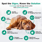 Glucosamine Joint Support Soft Chews for Dogs product image 8