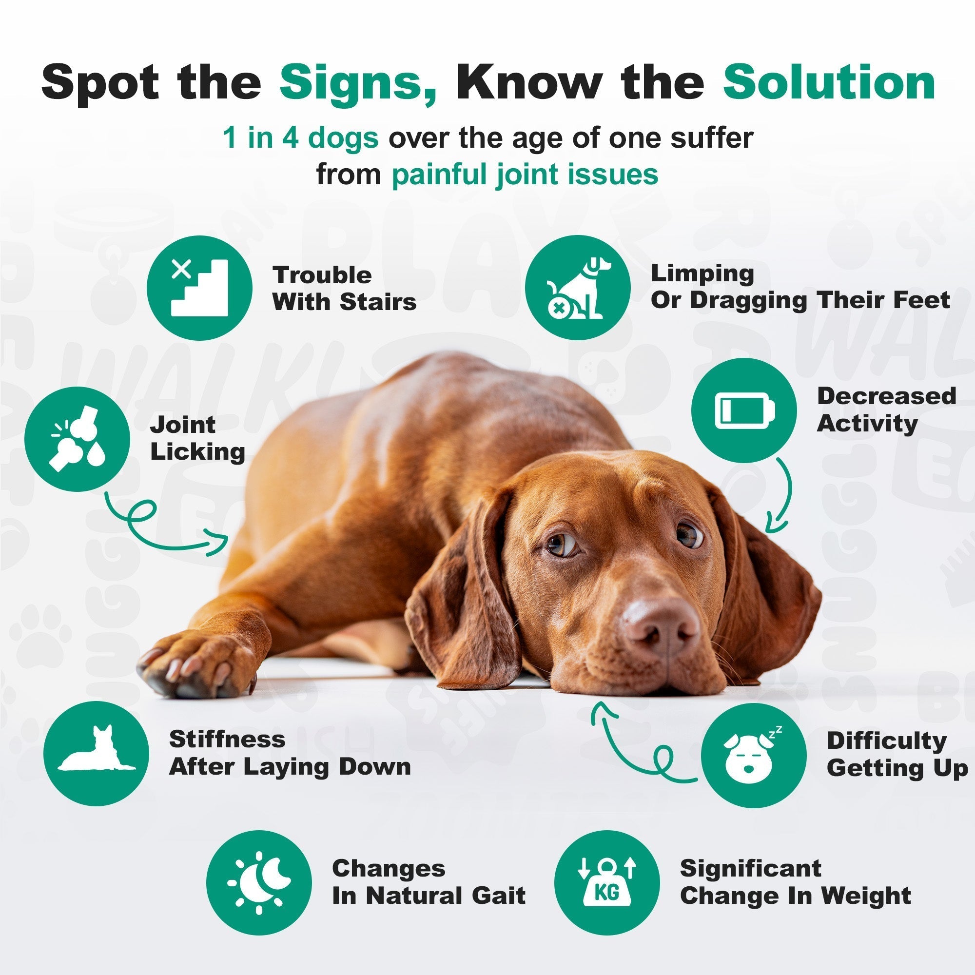 Glucosamine Joint Support Soft Chews for Dogs product image 8