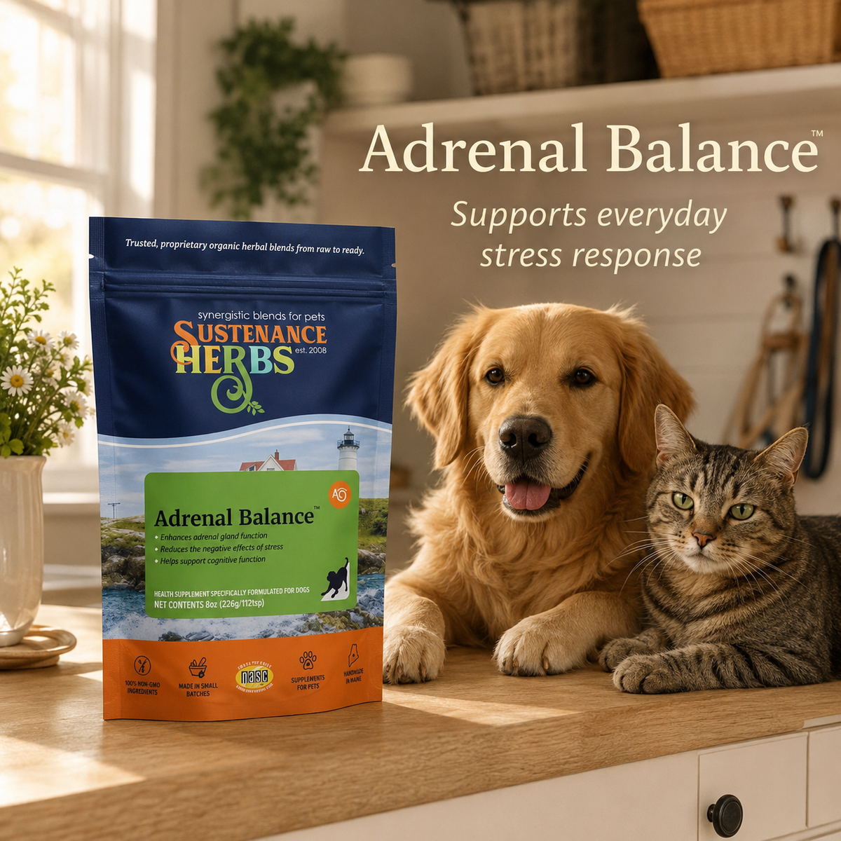 Dog Stress Supplement product image 6