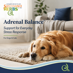 Dog Stress Supplement product image 8
