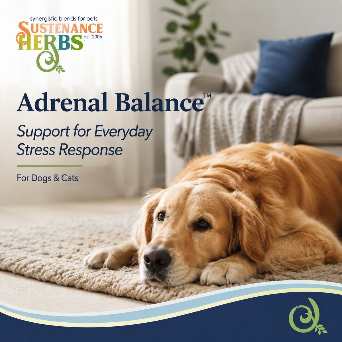 Dog Stress Supplement product image 8