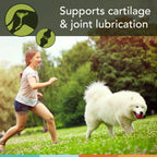 Dog Joint Supplement product image 2