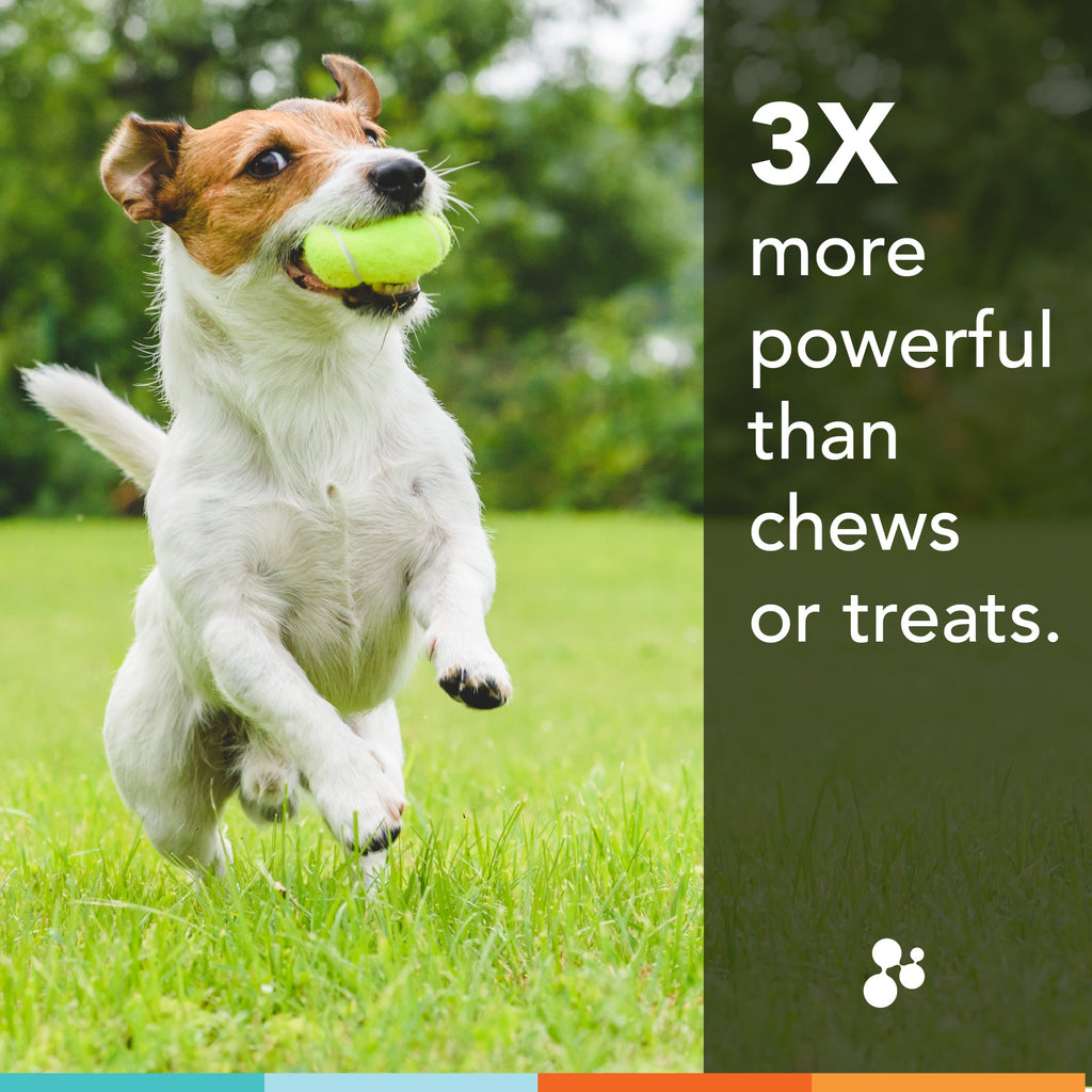 Dog Joint Supplement product image 3