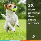 Dog Joint Supplement product image 3