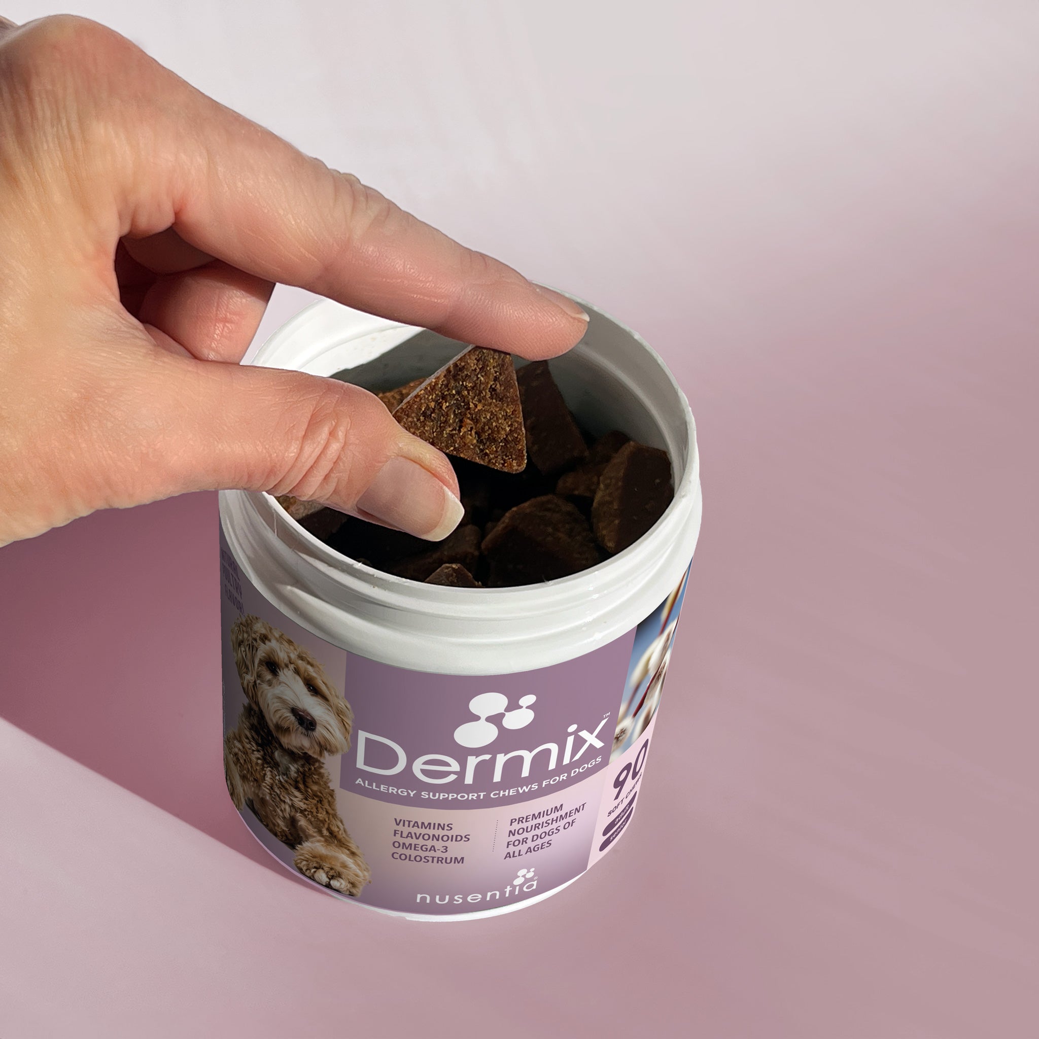 Dog Skin and Coat Supplement product image 1