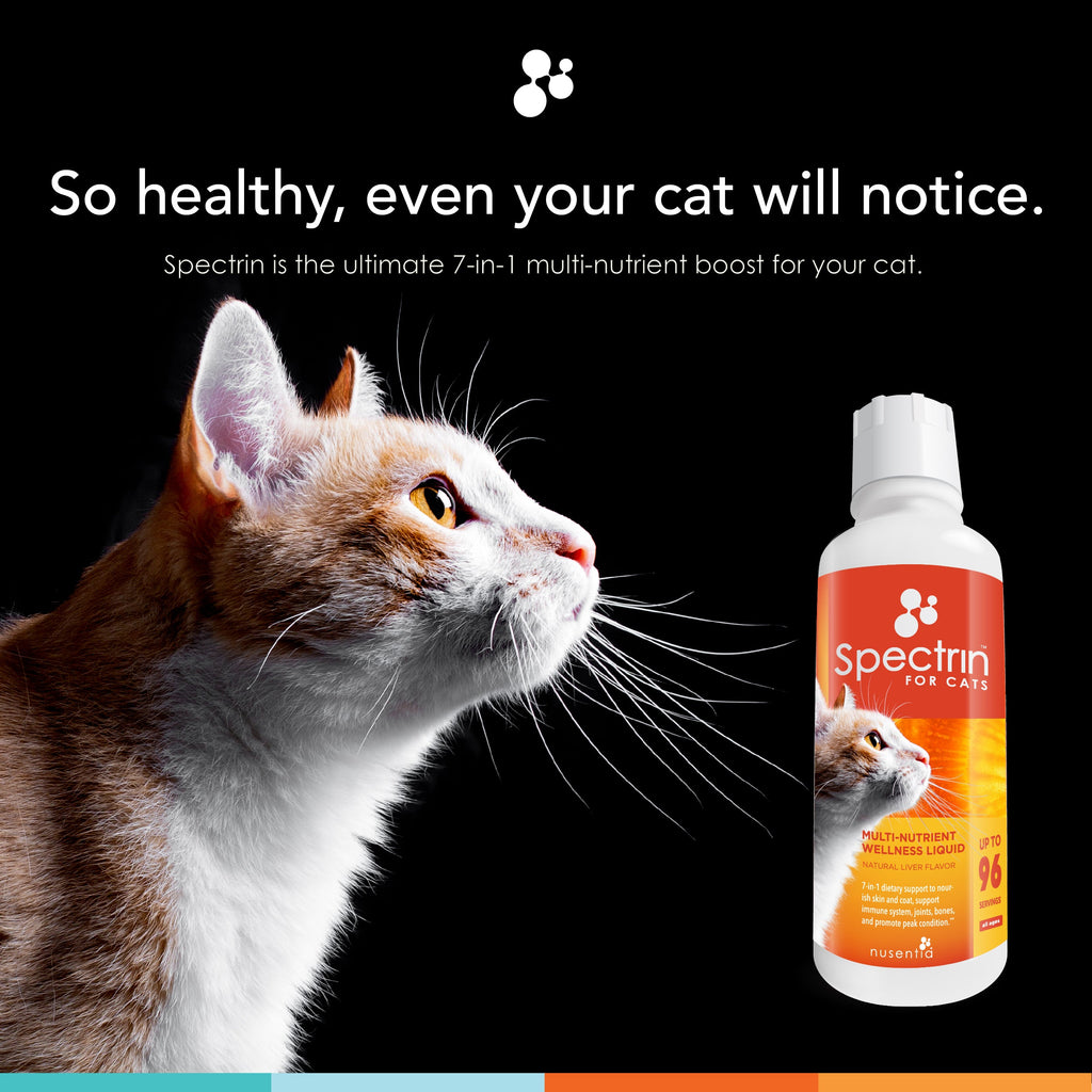 Cat Multivitamin Supplement product image 2