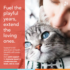 Cat Multivitamin Supplement product image 4