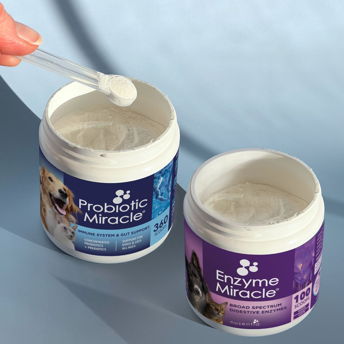 Probiotic Enzyme Supplement product image 1