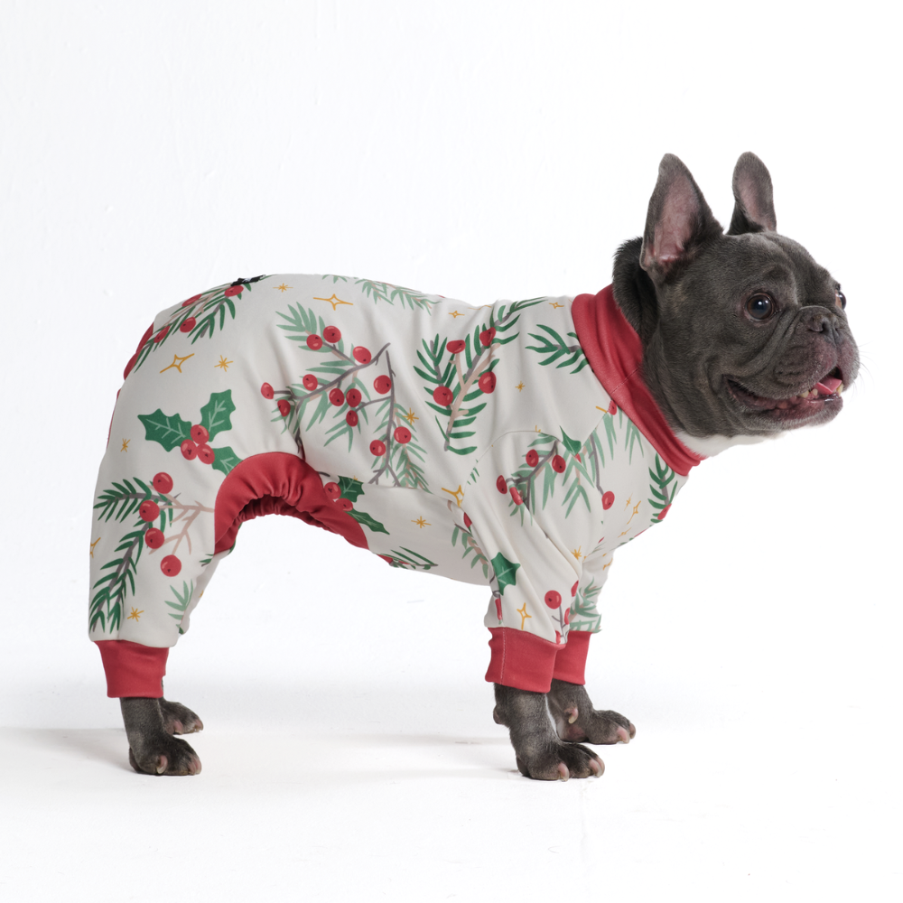 Mistletoe Christmas Dog Pajamas product image 4