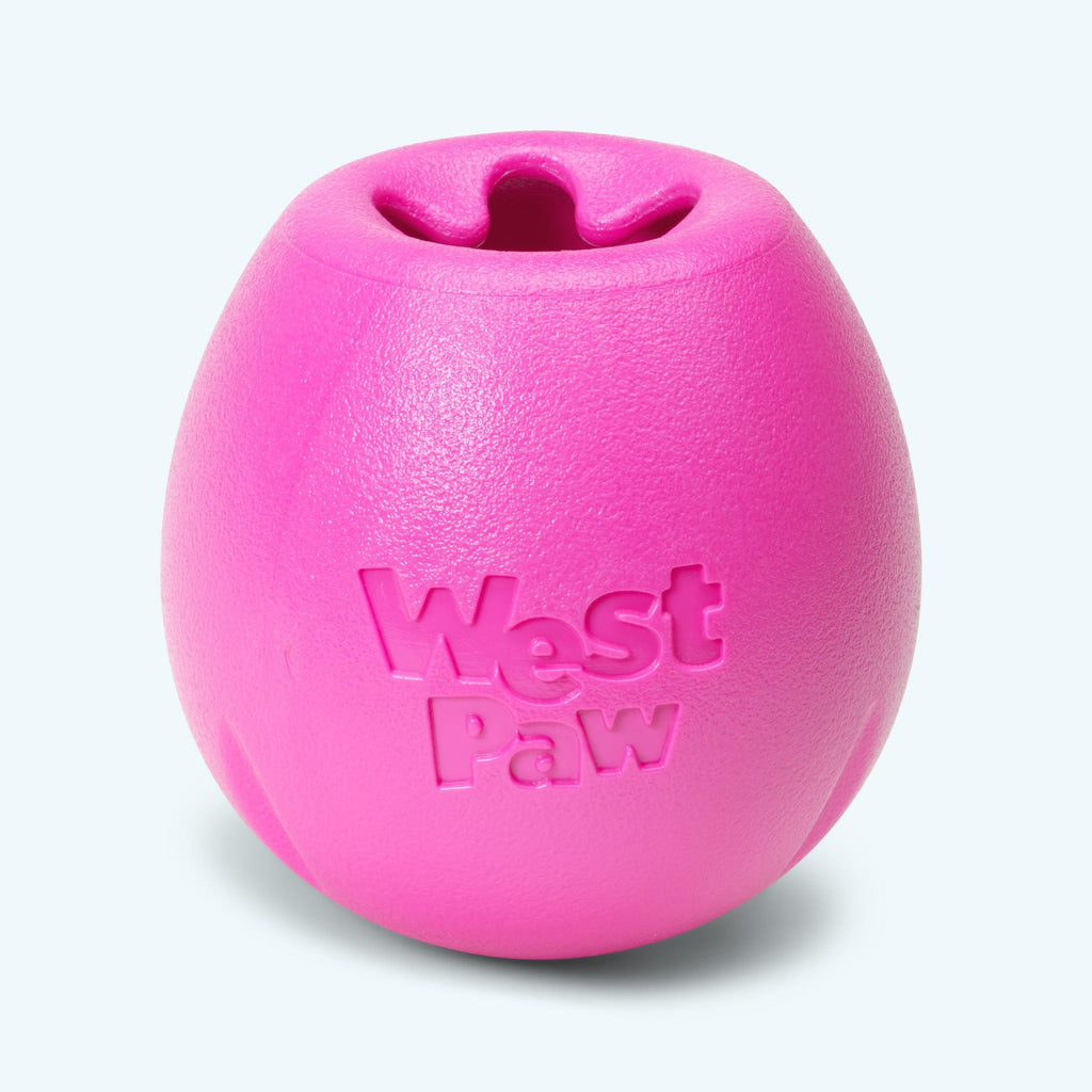 Treat-Dispensing Puzzle Dog Toy product image 1
