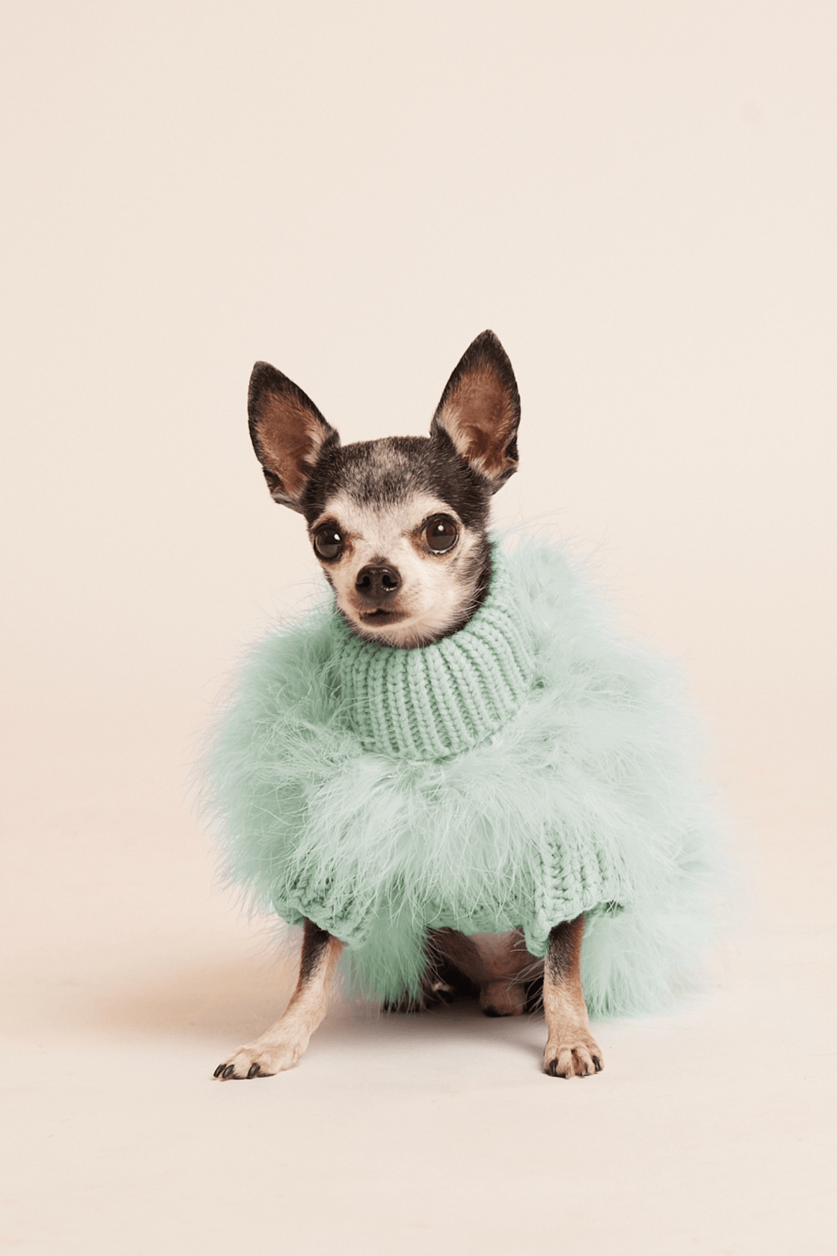 color: mint