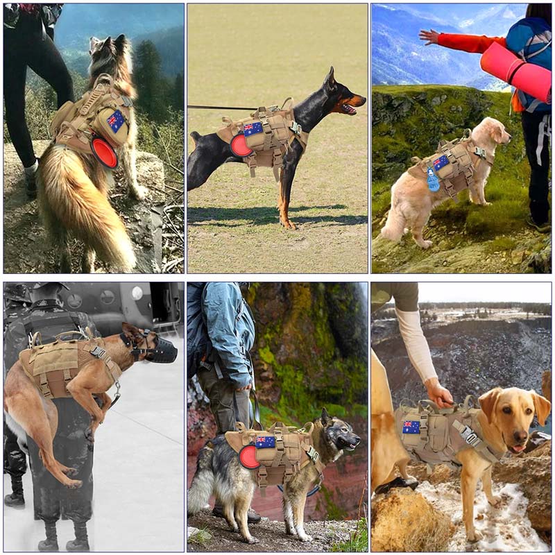Tactical Dog Harness product image 10