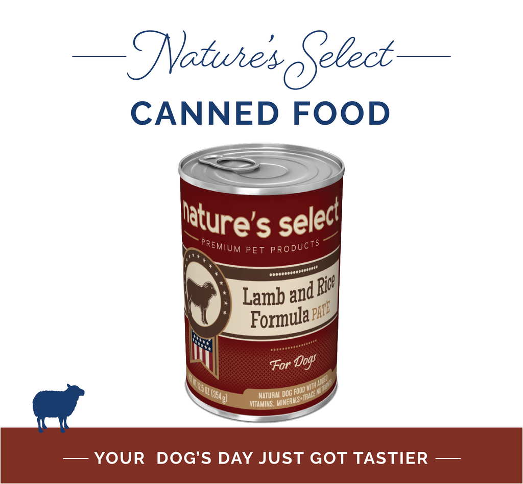 Wet Dog Food product image 3