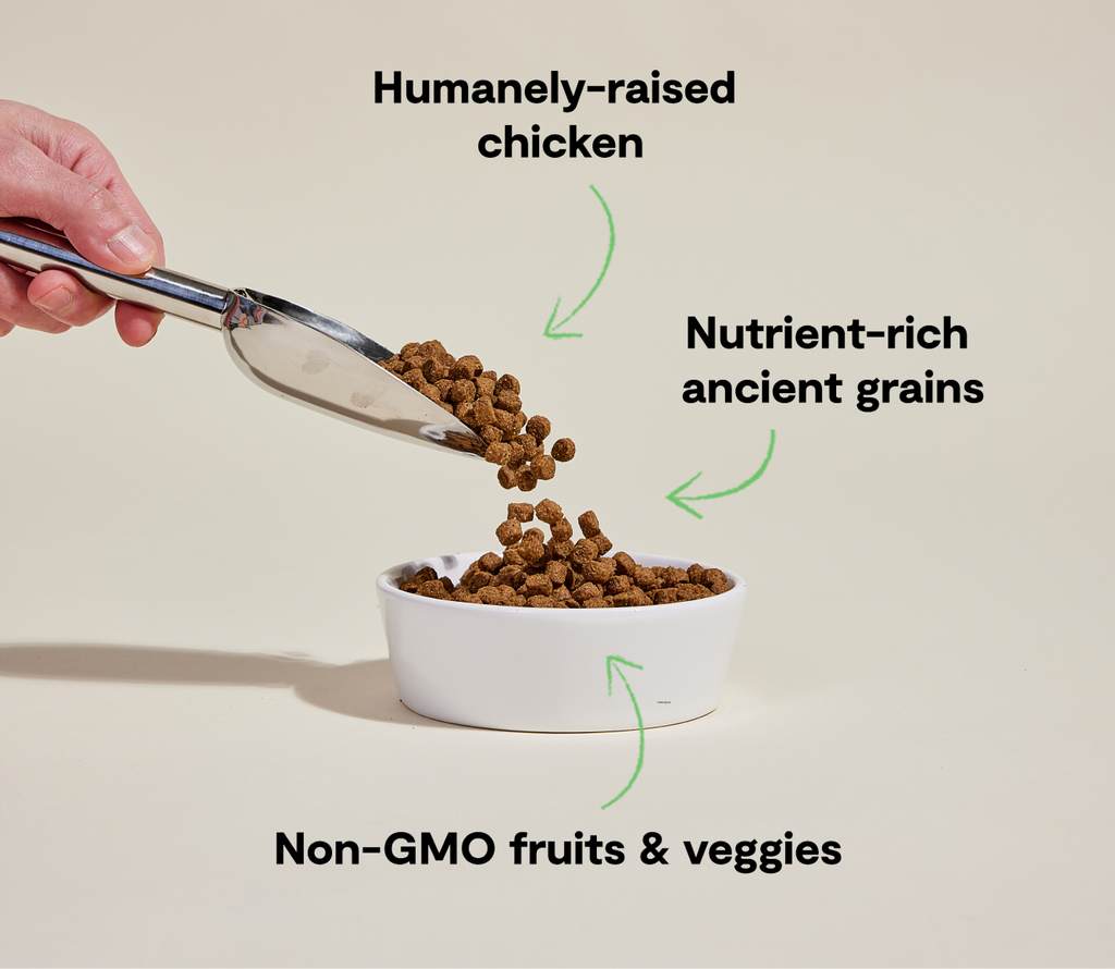 Dog Kibble product image 5