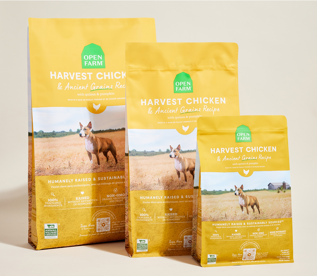 Dog Kibble product image 8