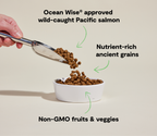 Dog Kibble product image 5