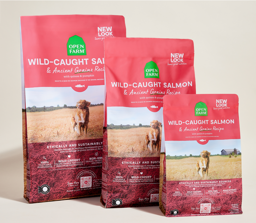 Dog Kibble product image 8