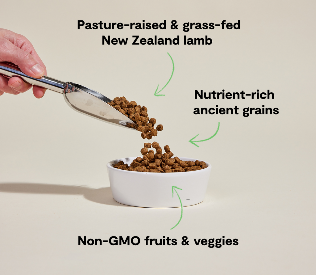 Dry Dog Food product image 5