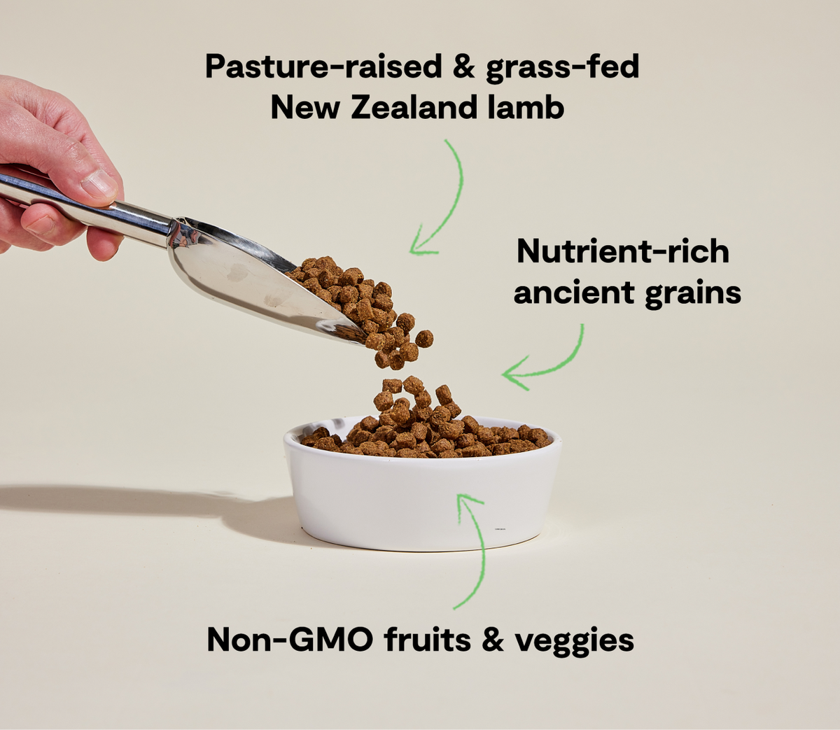 Dry Dog Food product image 5