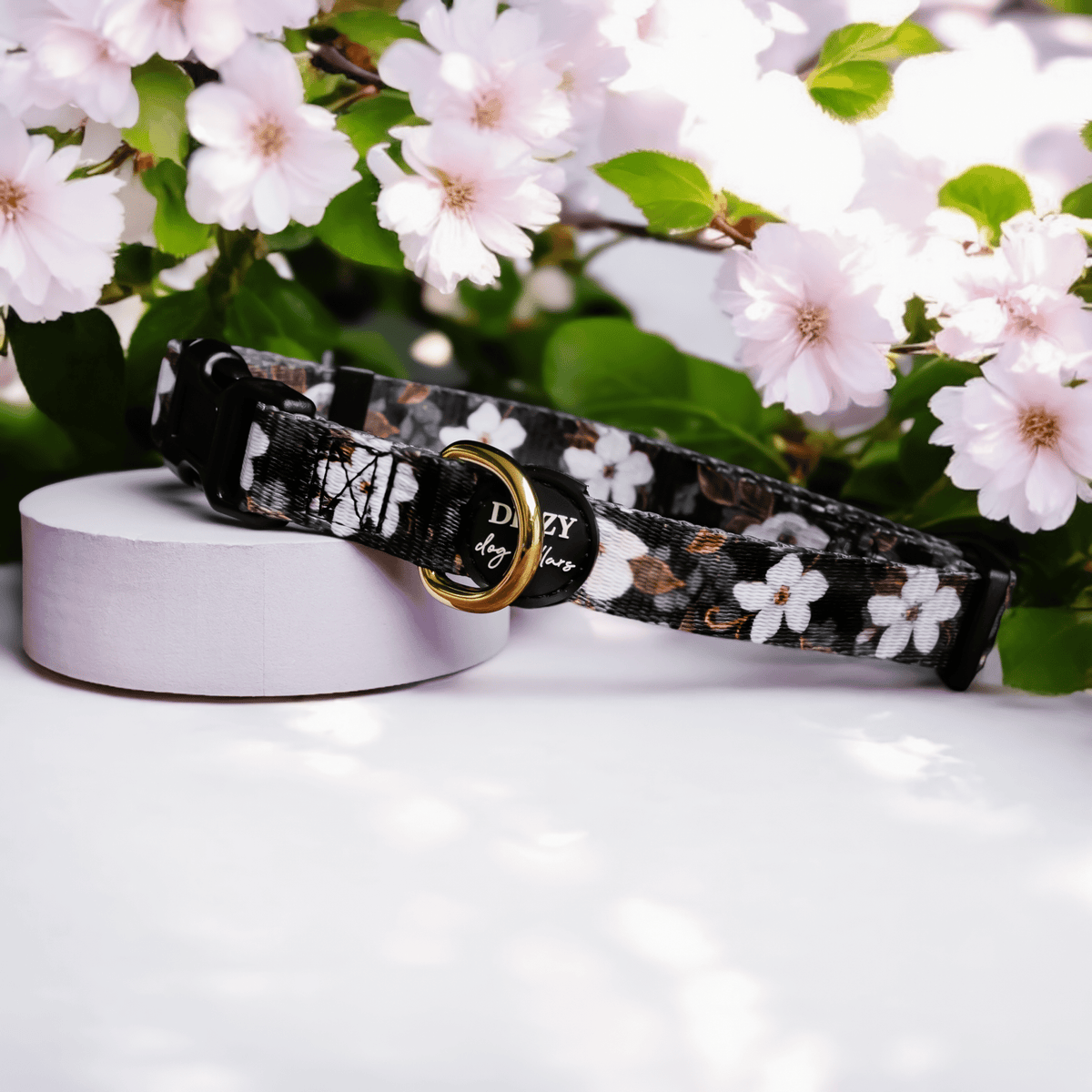 Dog Collar product image 1