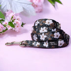 Dog Leash product image 7
