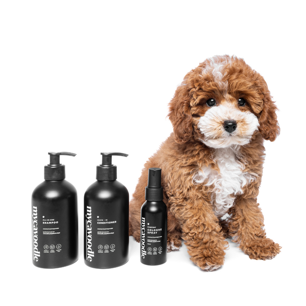 Three-Piece Dog Grooming Set product image 4