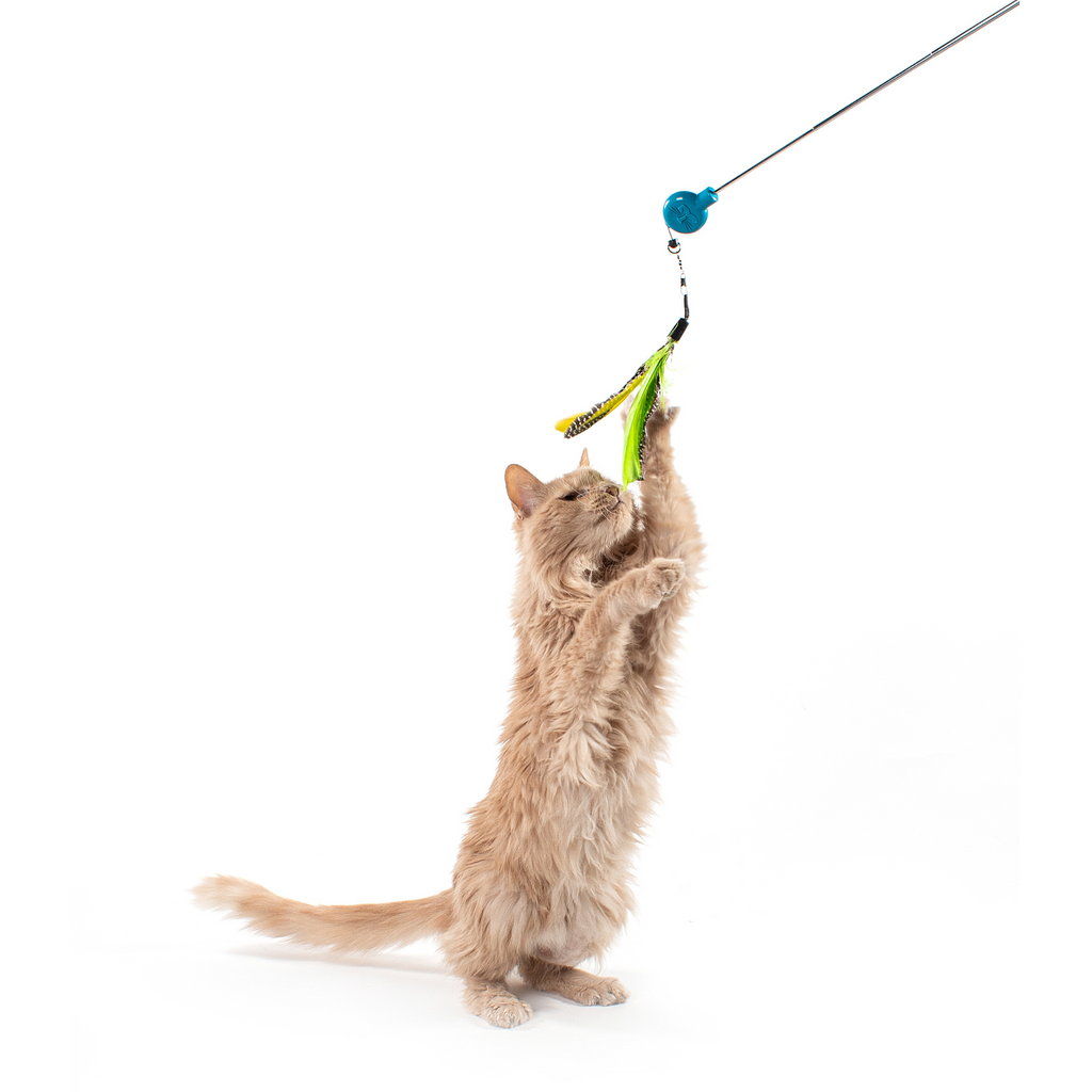 Telescoping Feather Cat Wand Toy product image 11