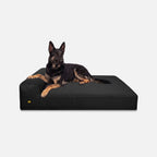 Giant Orthopedic Dog Bed product image 1