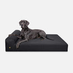 Giant Orthopedic Dog Bed product image 2