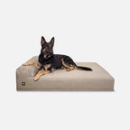 Giant Orthopedic Dog Bed product image 9
